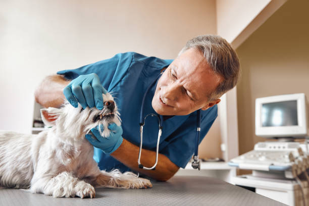 Best Emergency Tooth Extraction in Deatsville, AL